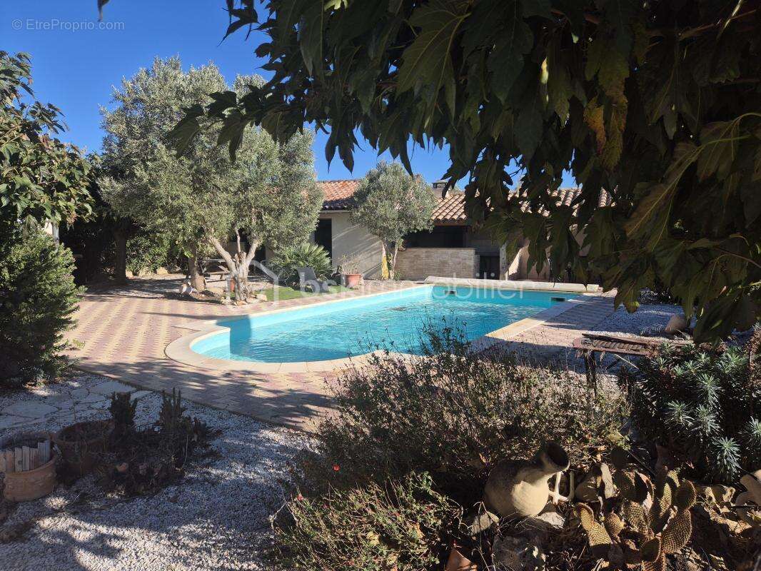 Maison à MOUSSAN