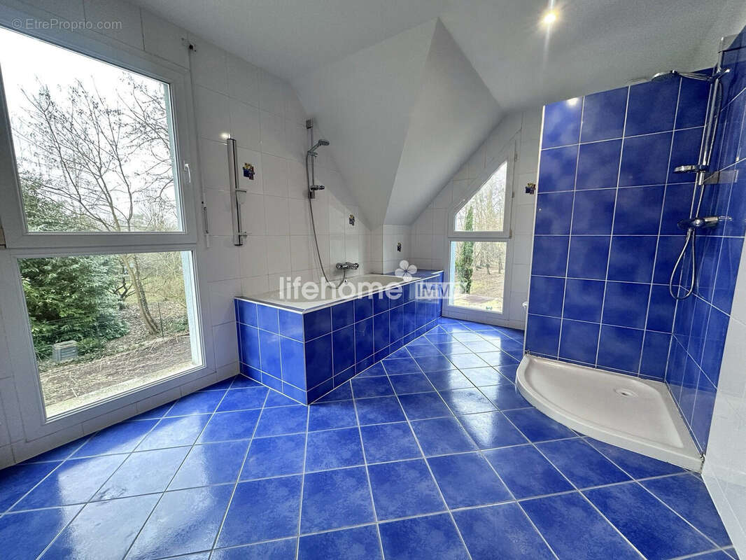 Maison 248 m² à Eschau  - photo 4
