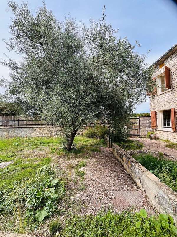 Photo 2 - Maison à TROIS-PALIS