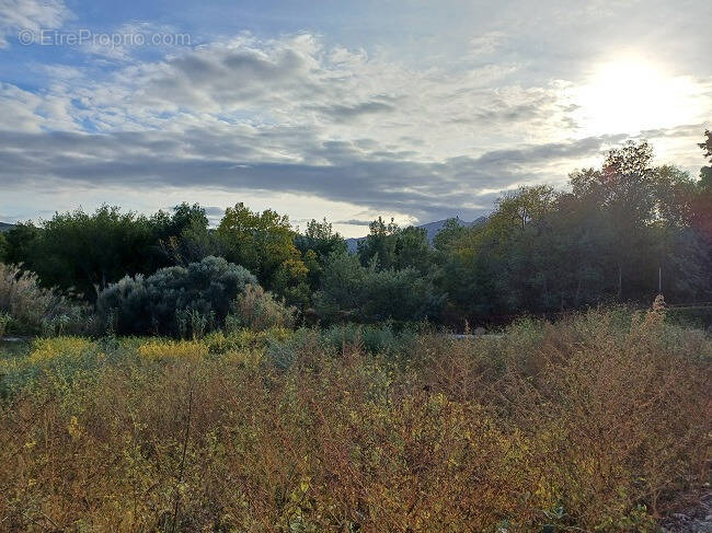 Terrain à MONTESQUIEU-DES-ALBERES