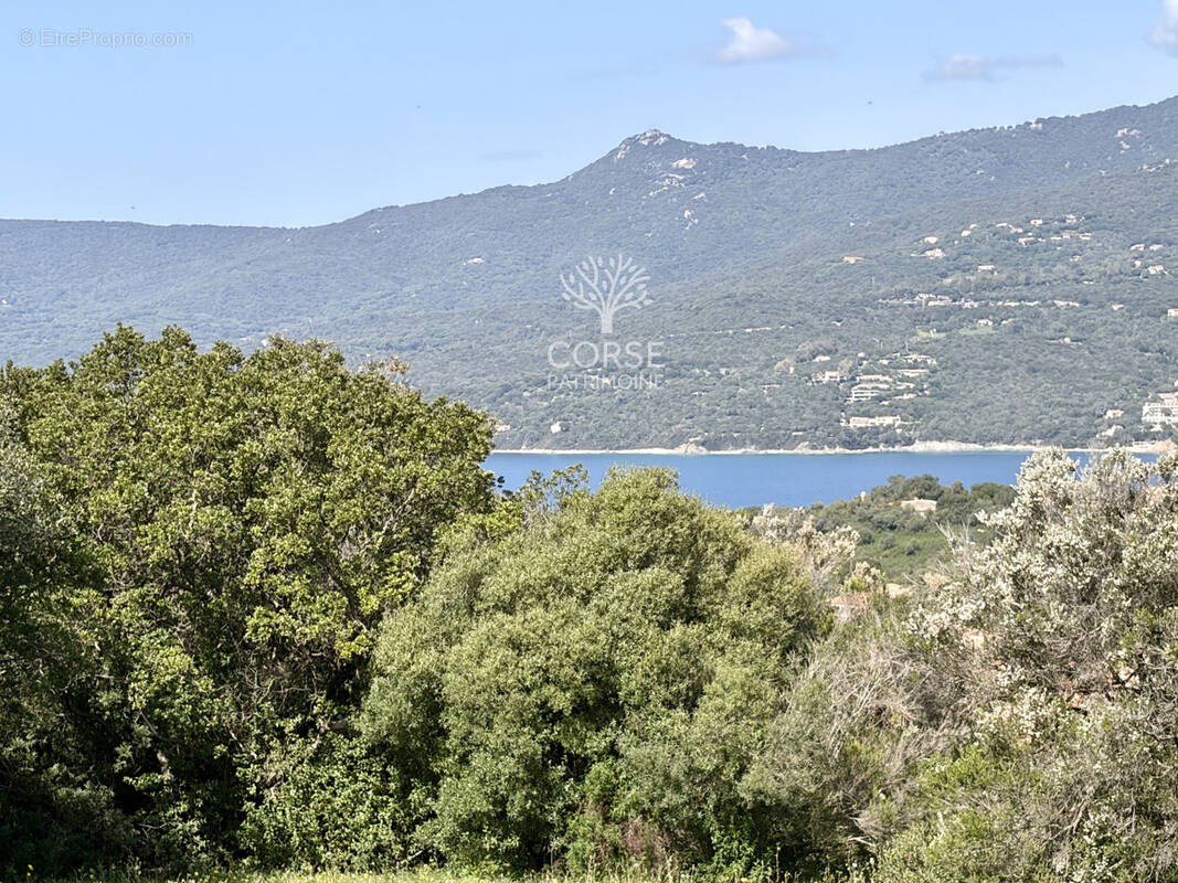 Terrain à PROPRIANO