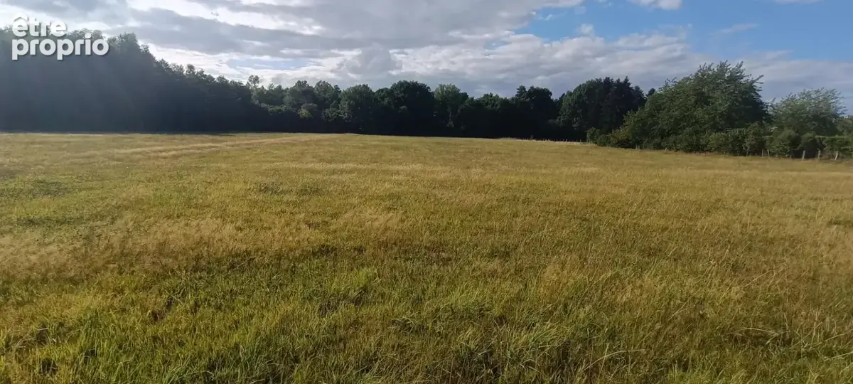 Terrain constructible. 9159 M2 m2 luxeuil · à Luxeuil-les-Bains · 123 000 €