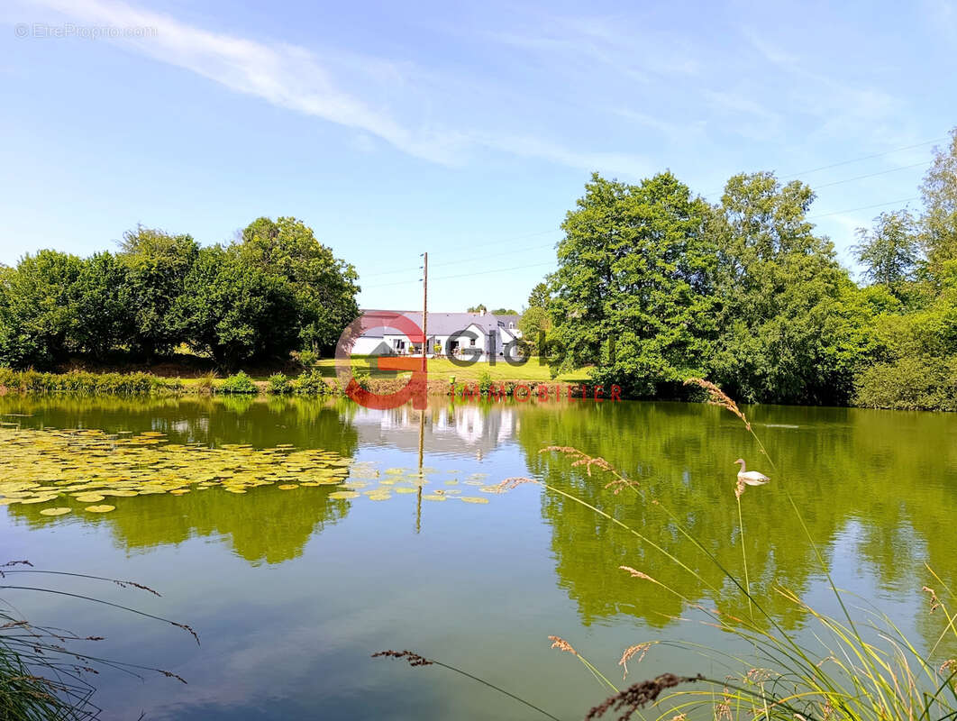 Un petit coin de paradis en Bretagne : Maison de plain-pied avec son étang privé sur 1.4 hectare de terrain - photo 2