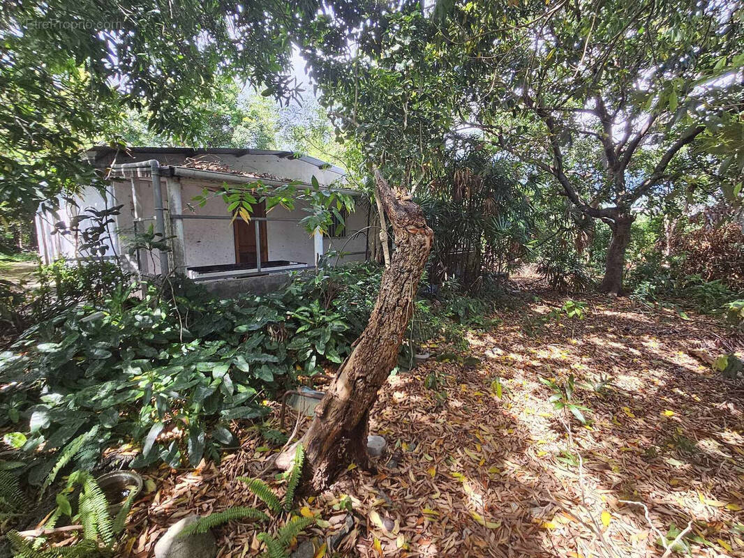 Photo 1 - Maison à SAINTE-MARIE