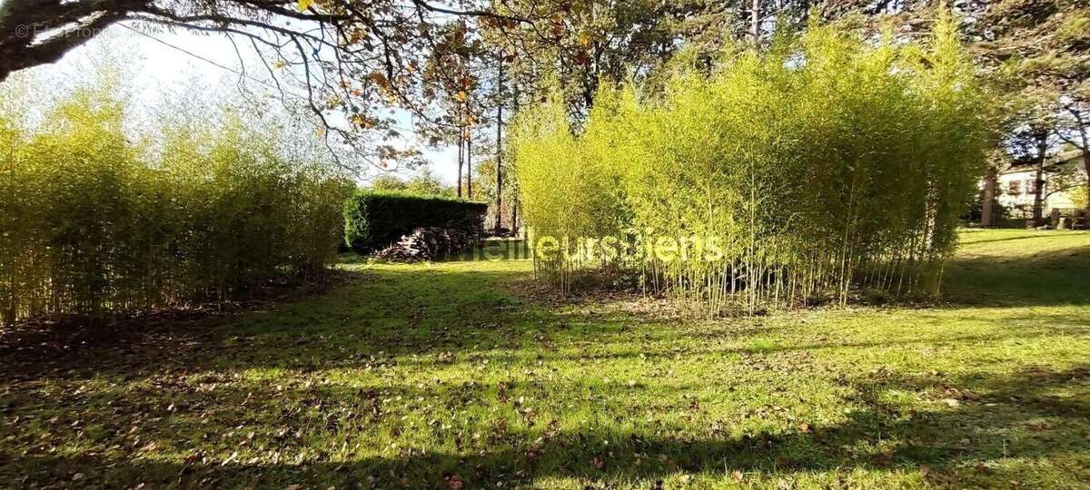 Rabastens: beau terrain de 1100m2 constructible - photo 2