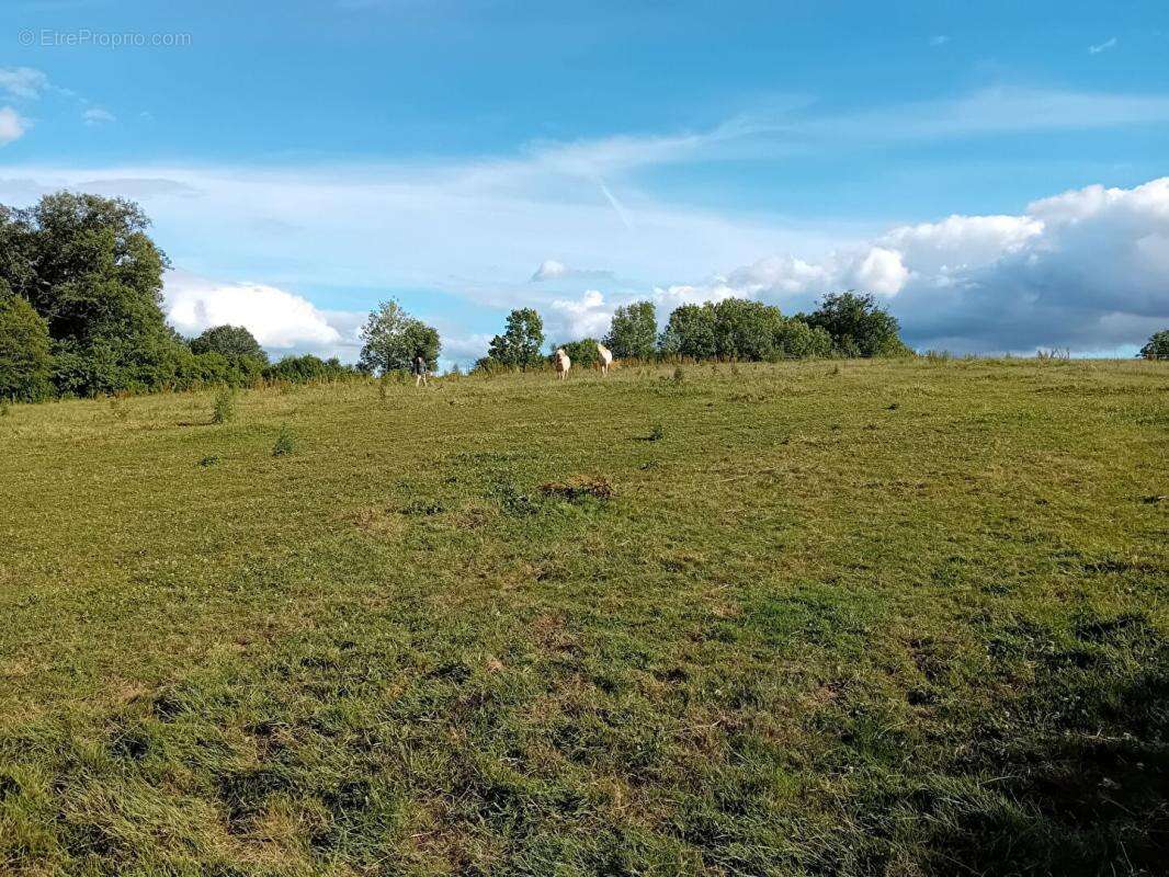 Maison terrain 3Ha permis de construire - photo 6