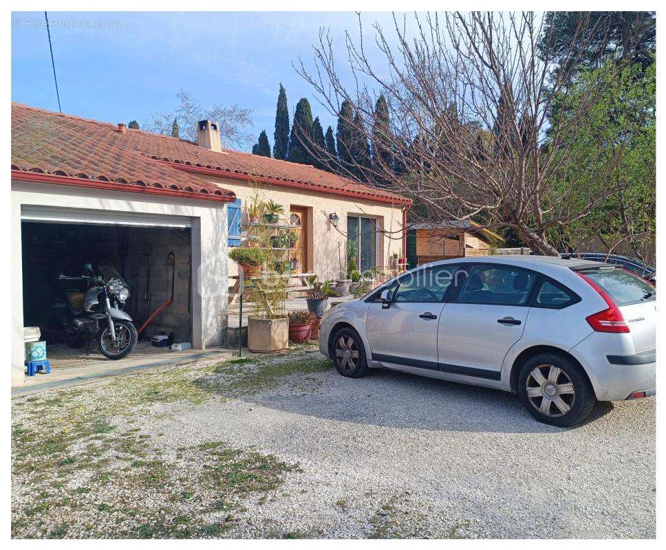 Maison à MONTESQUIEU-DES-ALBERES