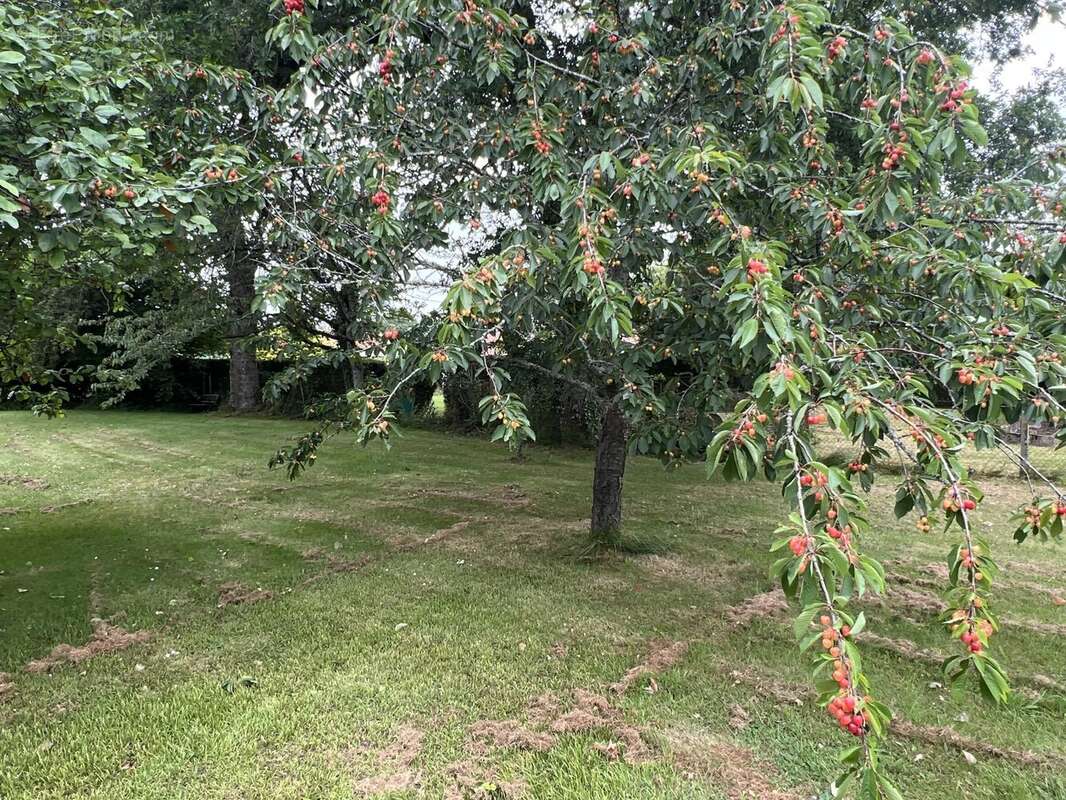 Maison à MEZIERES-SUR-ISSOIRE