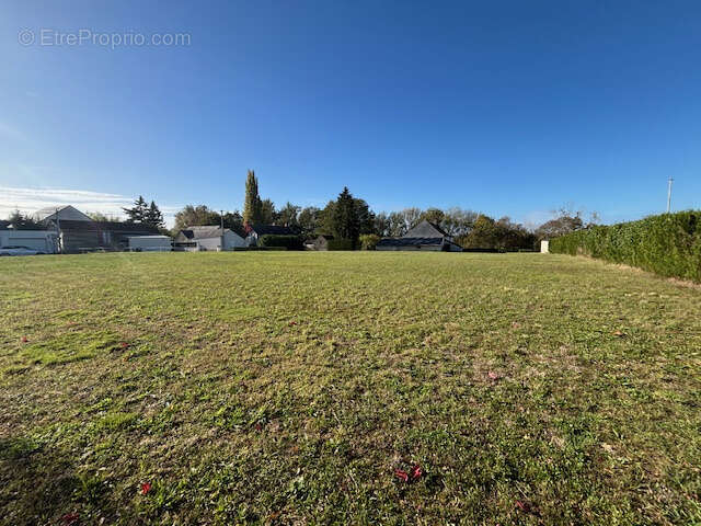 À vendre en exclusivité   Magnifique terrain constructible de 532 m2 aux portes d'Angers - photo 2