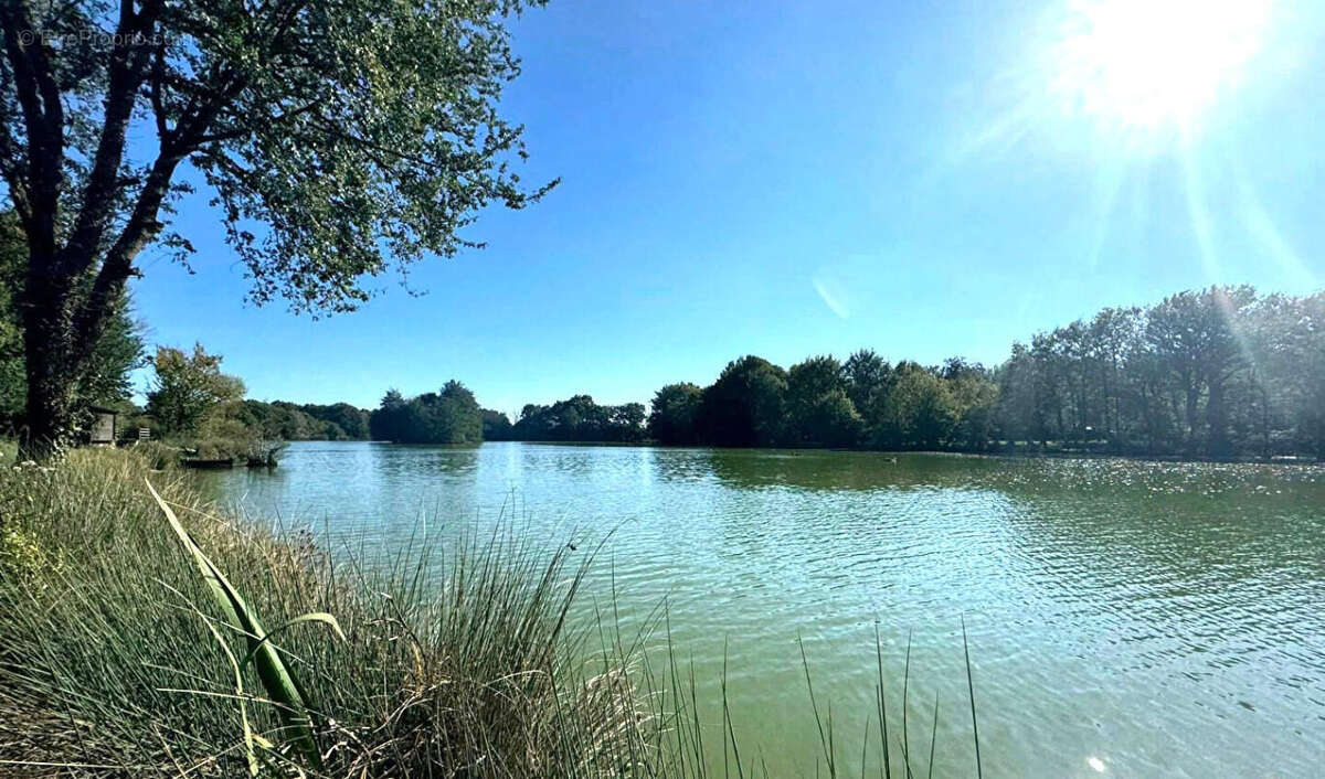ETANG - Maison à LE VIGEANT