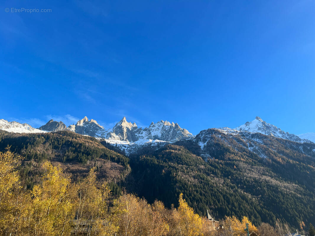 Autre à CHAMONIX-MONT-BLANC