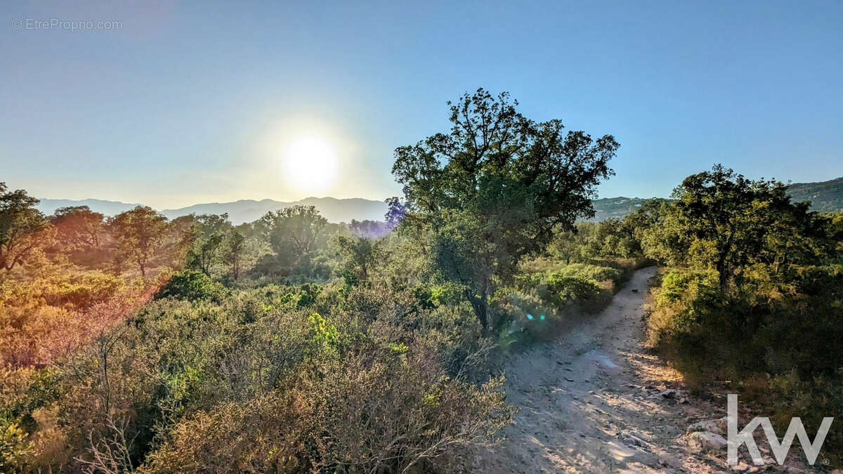 Maison à PORTO-VECCHIO