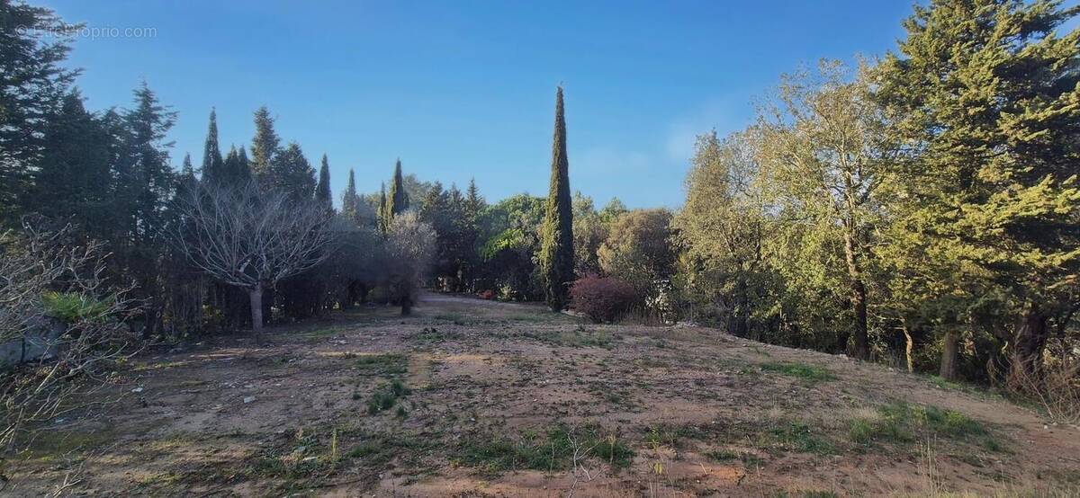 Photo 1 - Terrain à CARCASSONNE