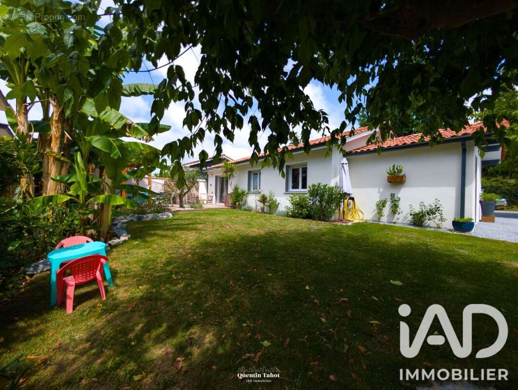 Photo 4 - Maison à BENESSE-MAREMNE