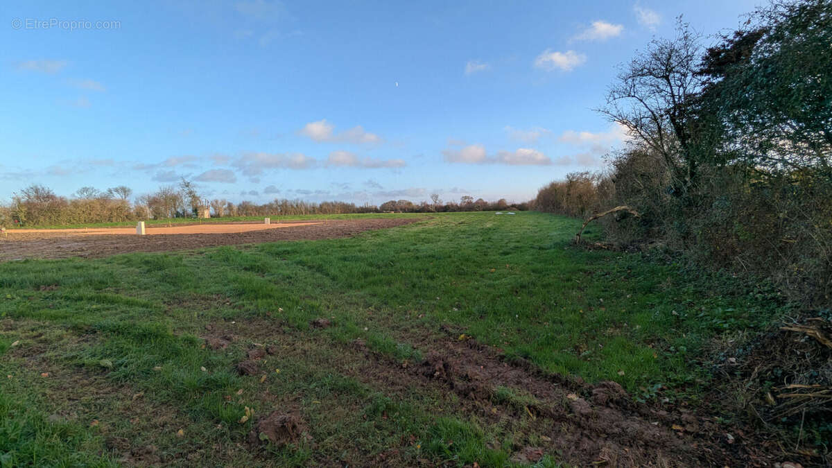 Terrain à FONTENAY-SUR-MER