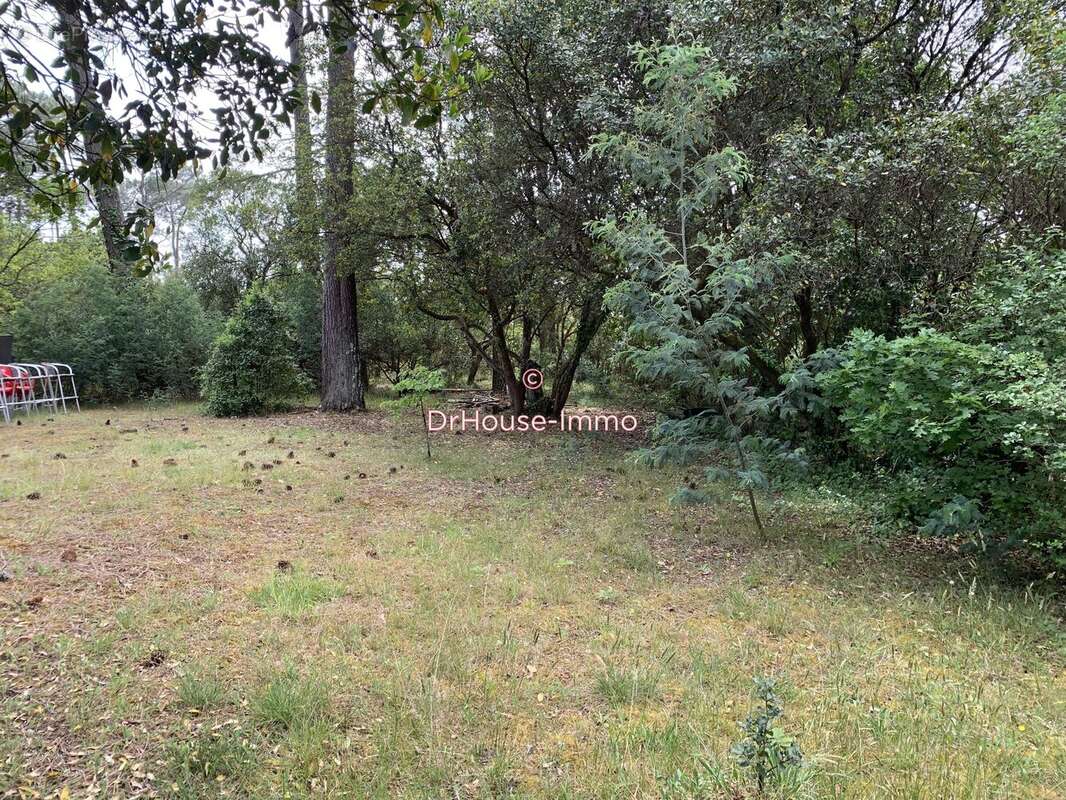 Maison à LEGE-CAP-FERRET