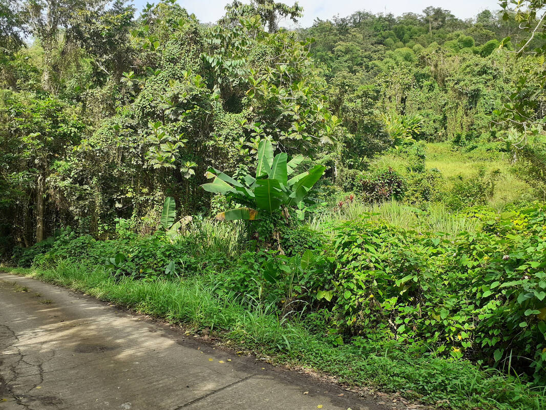Terrain à LES ANSES-D&#039;ARLET