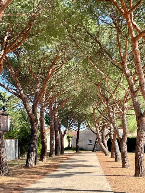 Toulouse   Les Pradettes  Maison T4 avec jardin, véranda et garage - photo 22