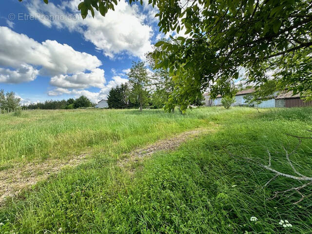 Terrain à MONTGUYON