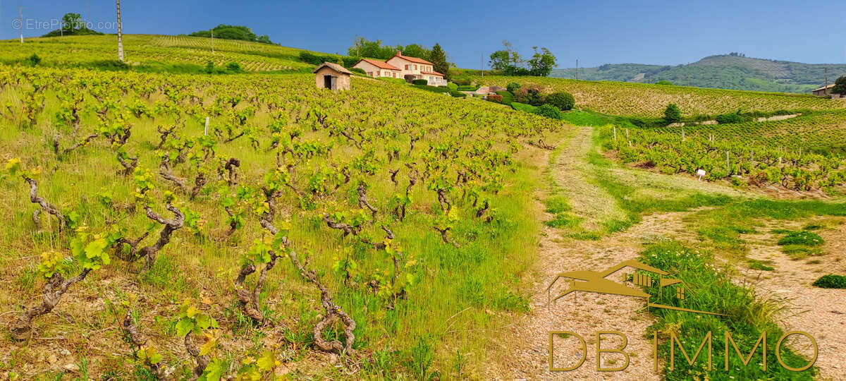 Terrain à JULIENAS