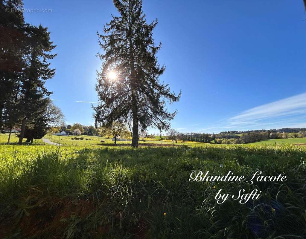 Photo 2 - Maison à MONTBOUCHER