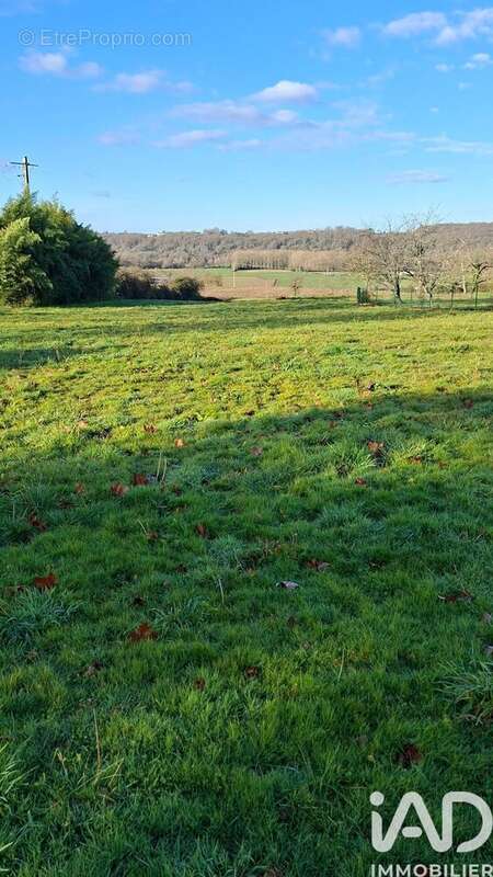 Photo 5 - Terrain à BERNEDE