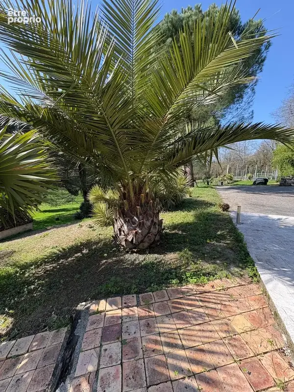 Propriété d’exception à 15 minutes d’Agen   350 m2 au cœur d’un parc d’un hectare - photo 10