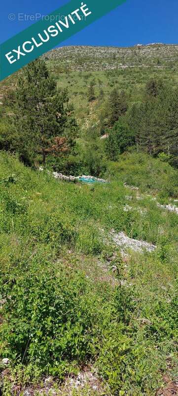 Terrain 3265 m² à Les Vignes  - photo 2