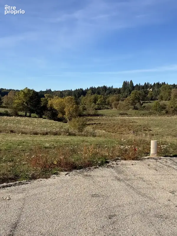 Terrain constructible viabilisé et loti - proche yssingeaux - photo 6