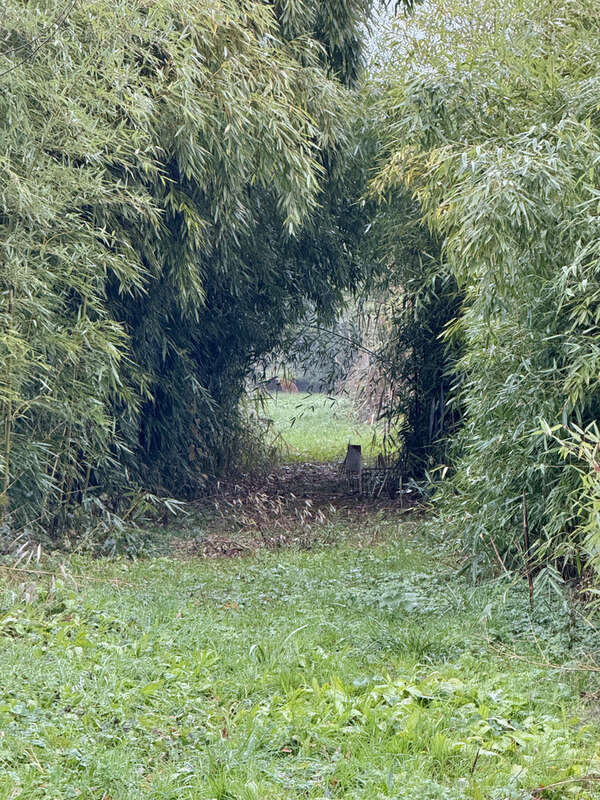 Terrain à SAINT-SYMPHORIEN-D&#039;ANCELLES