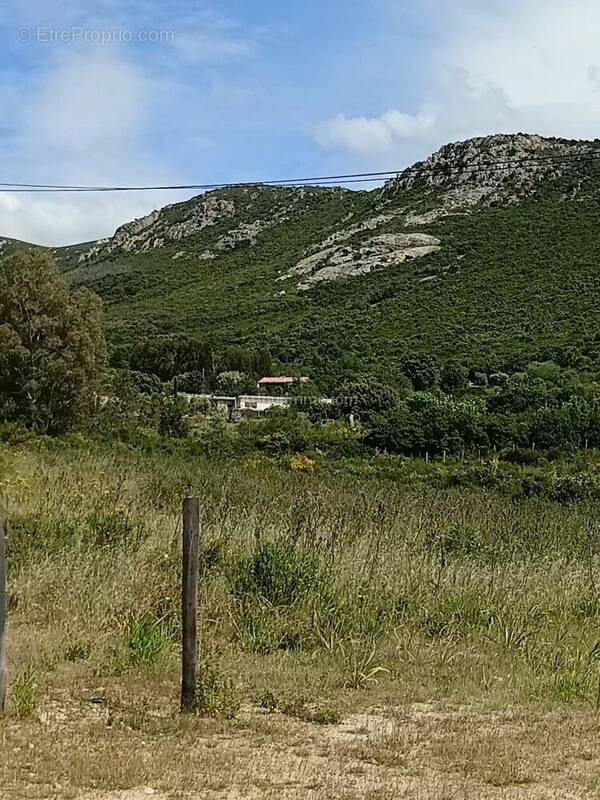 Terrain à MONCALE