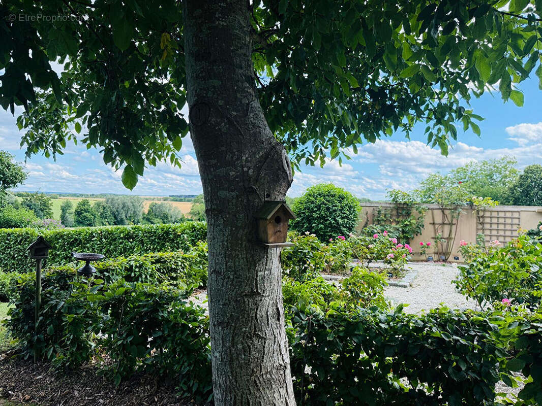 Maison à HERBEVILLE