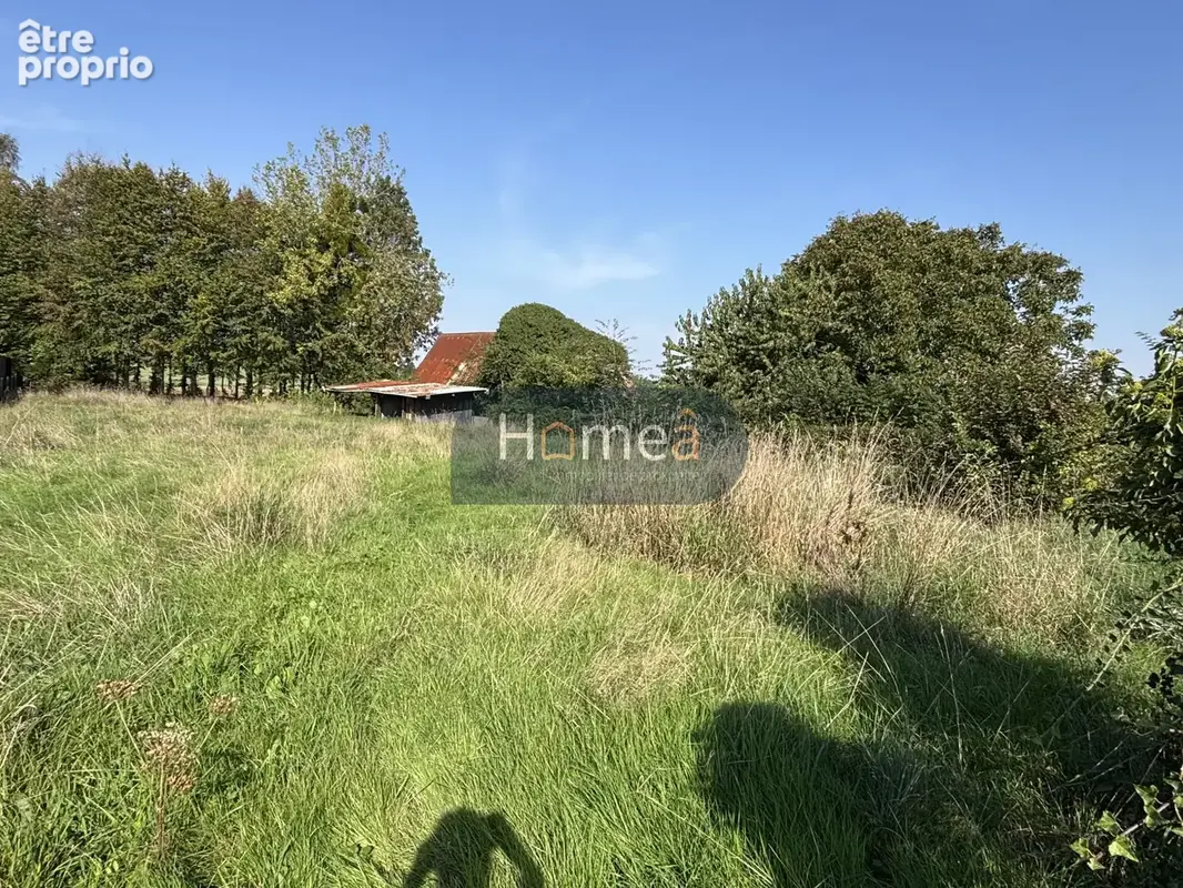 Photo Terrain à Emanville au prix de 74 000€