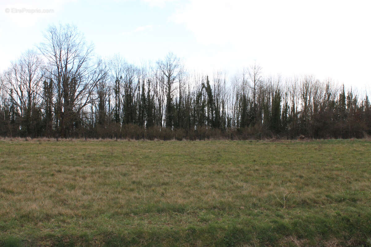 Terrain à LA COQUILLE