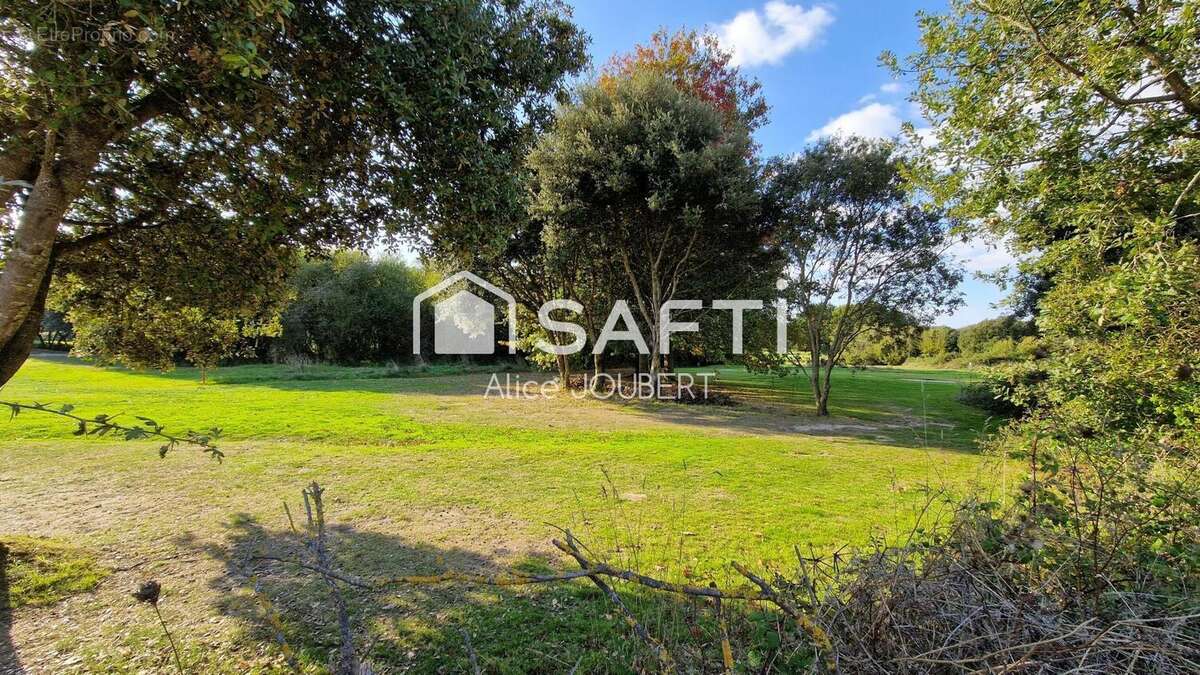 Terrain 959 m² à Talmont-Saint-Hilaire  - photo 4
