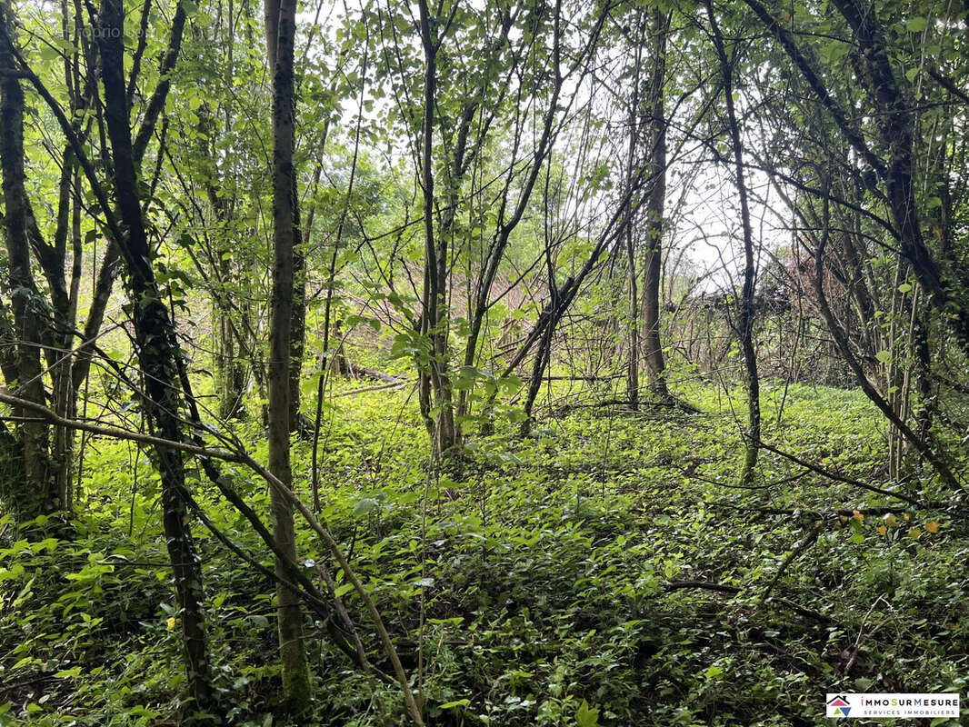 Terrain 15084 m² à Heuchin  - photo 3