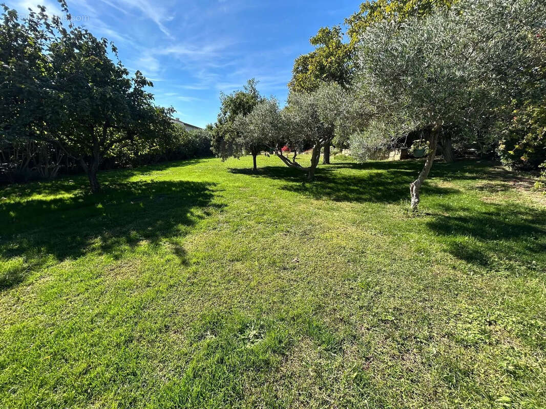 Maison à BELLEGARDE