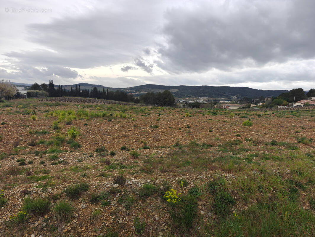 Terrain à LIMOUX