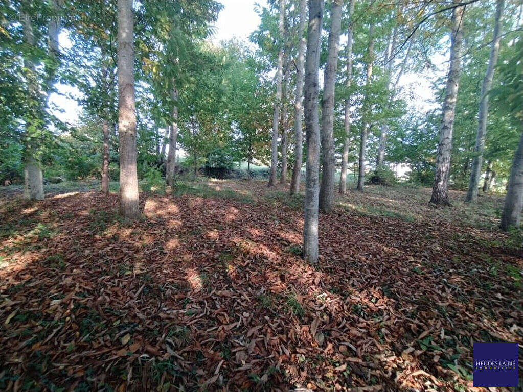 Terrain Grandparigny 950 m2 - photo 3