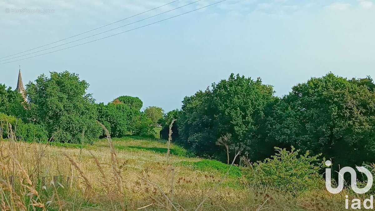 Photo 4 - Terrain à SOUBRAN