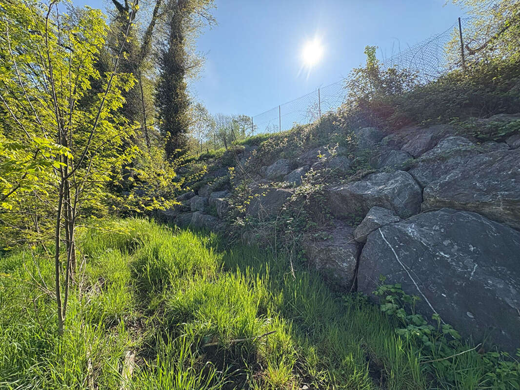 Terrain Saint Avold 3801 m2 - photo 17