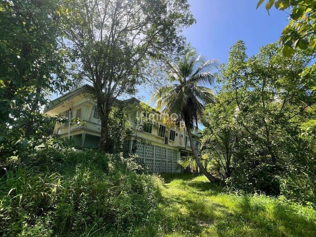 Maison à LES ABYMES