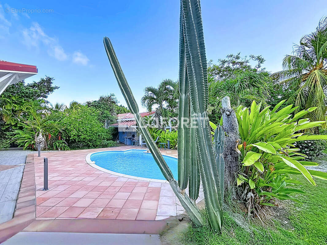 Maison F4  à Sainte Anne avec garage et piscine - photo 6
