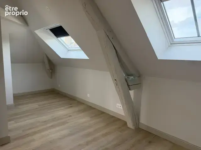 ORLEANS -BANNIER- Appartement 2 pièces entièrement rénové - - photo 6