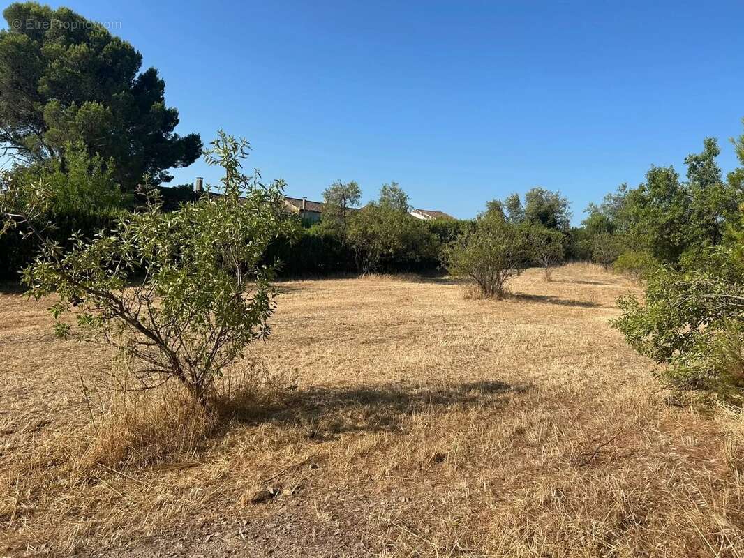 A vendre : terrain plat à Mouriès 850m2 - photo 2