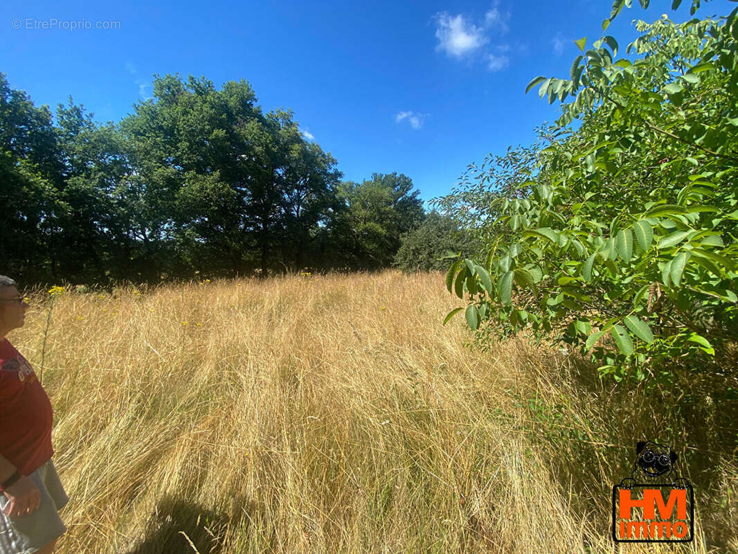 Maison à BESSINES-SUR-GARTEMPE