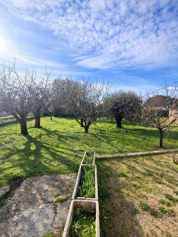 Terrain à BEAUVOISIN