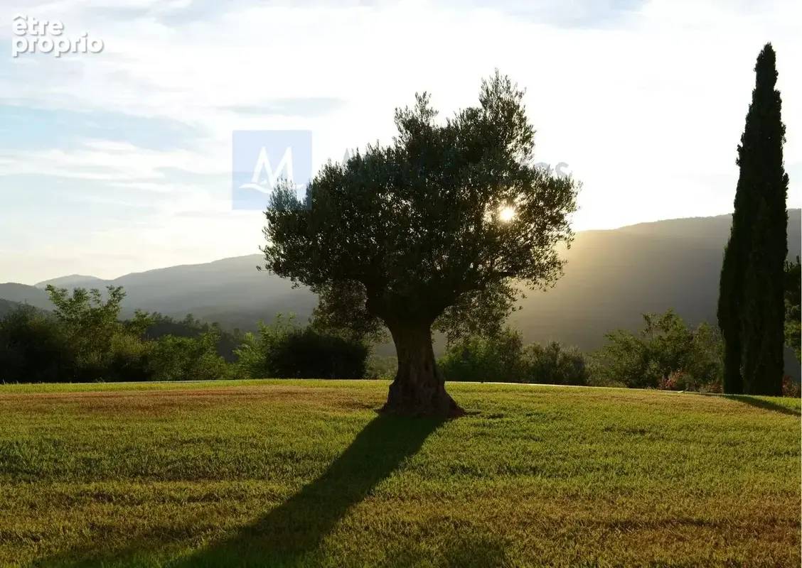 Propriété unique de 27 hectares au calme - superbes vues - photo 34