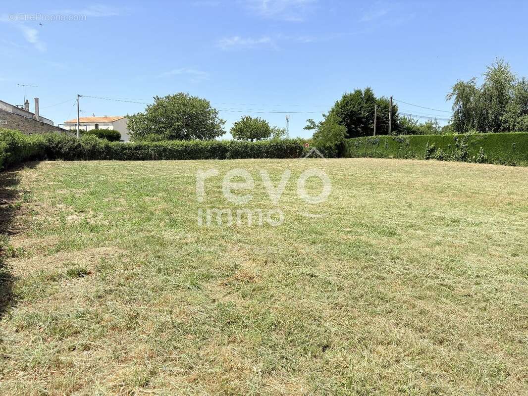 terrain à bâtir de 1600m² à découper en 3 lots - photo 7