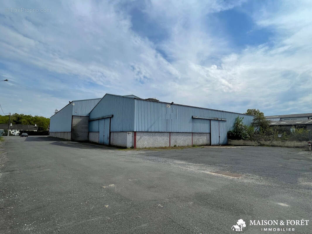 Commerce à CHAMPOULET